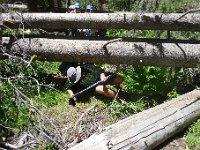 YosemiteCreek 006 : YosemiteCreek